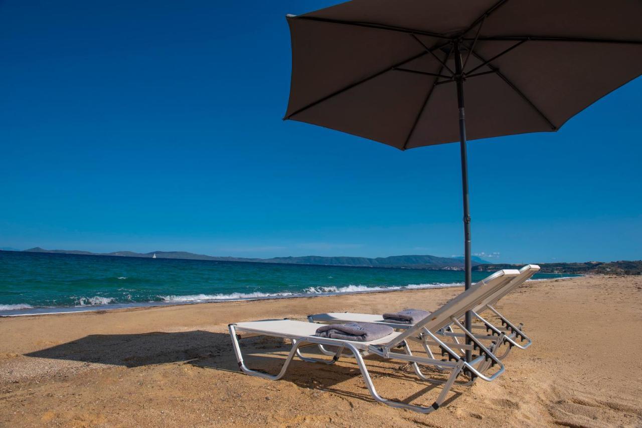 Terra D'Oro Villas Ierissós Buitenkant foto